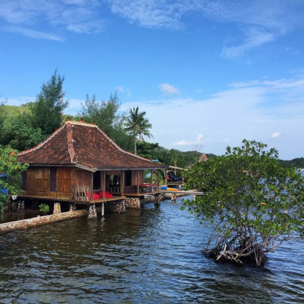 cemara cottage samping